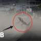 Illustration for article titled This Is Why You Dont Stand Behind A Jet Engine